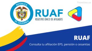 RUAF: Guía Para Consultar Tu EPS, Pensión O Cesantías